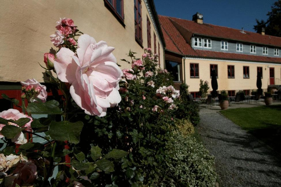 Hotel Kongensbro Kro Ans Dış mekan fotoğraf